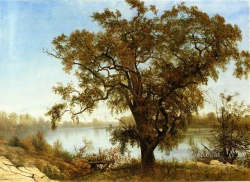 サクラメントのアルバート・ビアシュタットの風景川からの眺め Oil Paintings